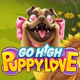 Go High Puppy Love logo by RubyPlay IgoBet Casino