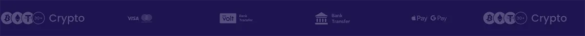 Payment methods strip showing cryptocurrency support (BTC, ETH, LTC), Visa and Mastercard, Volt bank transfer, standard bank transfer, and Apple Pay / Google Pay icons on a dark purple background.